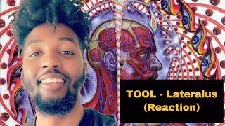 TOOL  Lateralus Reaction [upl. by Aksel]