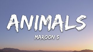 Maroon 5  Animals Lyrics [upl. by Asum]