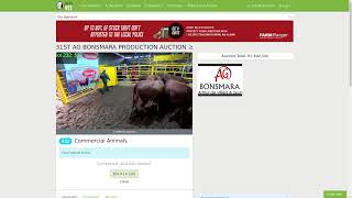 31ST AG BONSMARA PRODUCTION AUCTION [upl. by Palocz]