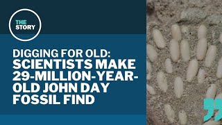 Researchers make oneofakind fossil discovery in eastern Oregon  Digging for Old [upl. by Ellehcit]