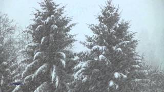 AMBIANCE DE NOEL  NEIGE QUI TOMBE SNOWFALL HIVER WINTER FONDS ECRAN ANIME [upl. by Delaryd316]