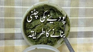 Pudine Ki Chatni Banane Ka Tarika پودینے کی چٹنی How To Make Mint Chutney Pakistani  Chutneys [upl. by Enale]