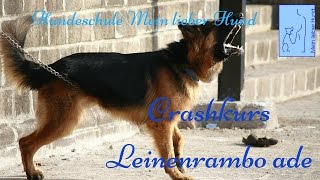 Leinenaggression in fünf Tagen los werden  Hundeschule Mein lieber Hund [upl. by Airot693]