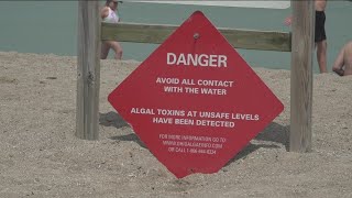 Officials Avoid water at Maumee Bay State Park swimming not permitted due to algal bloom toxins [upl. by Bernarr]