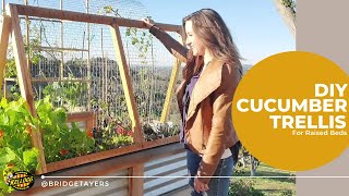 How To Build a Cucumber Trellis for Raised Beds [upl. by Anrym]