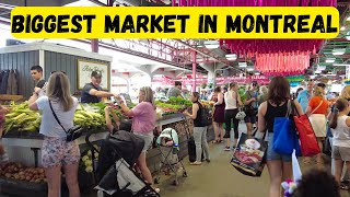 Inside Montreal’s Biggest Market Marché JeanTalon [upl. by Sliwa430]