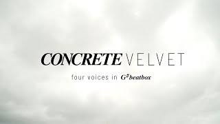 THE RAZZZONES I CONCRETE VELVET I BEATBOX [upl. by Niroht]