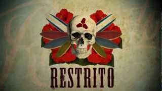 Restrito [upl. by Trill]