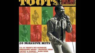 Toots And The Maytals Time Tough [upl. by Esilec147]