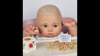 LullaBaby Nursery LullaBabies Bitty Baby Reborn Collection role play doll props♥️ [upl. by Nedry]