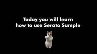 Today you will learn how to use Serato Sample 20 [upl. by Star]