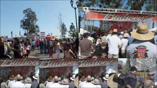 California Straberry Festival 2013 [upl. by Baxie576]