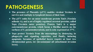 Yersinia pseudotuberculosis [upl. by Akemit]