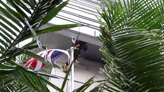 Man Climbs The RitzCarlton in Los Angeles [upl. by Ledif17]