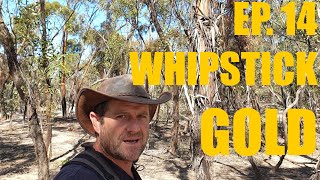 Gold Prospecting Ep 14  WHIPSTICK GOLD [upl. by Som792]