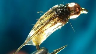 Tying the Catgut Caddis Pupa with Davie McPhail [upl. by Nylesor]