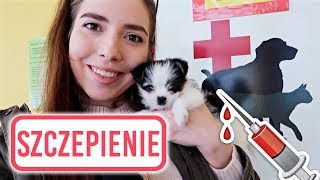 PIERWSZE SZCZEPIENIE 💉 PSA SZCZENIAKA 🐶 [upl. by Ellekcir543]