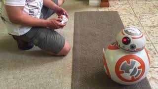 Spin Master Hero Droid BB8 review [upl. by Lumpkin]