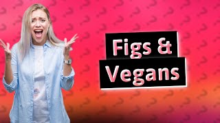 Are figs vegan [upl. by Wendi956]