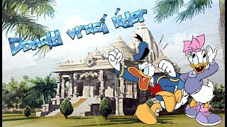 Herní film Walt Disney  Kačer Donald vrací úder  Donald Duck strikes back [upl. by Aivin]