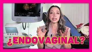 Ultrasonido endovaginal ¿para qué sirve  Dra Katy Villa [upl. by Assylem]