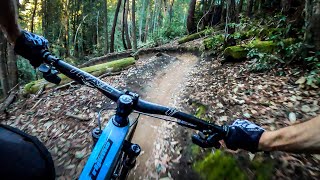 The BEST mountain bike ride in Northern California  The Flow Trail  Soquel Demo Forest [upl. by Animehliw]