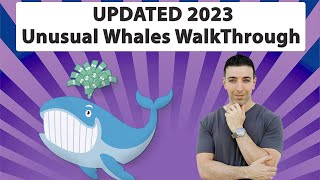 Unusual Whales Platform Walkthrough 2023 Update [upl. by Zanze]