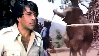 छोटे हाथी ने धर्मेंद्र को गुंडों से लड़कर बचाया  Dharmendra Action  Hema Malini  Maa HD Movie [upl. by Euphemia727]