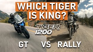 Triumph Tiger 1200 GT Pro vs Rally Explorer  My bikes bigger [upl. by Wickman440]