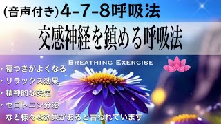 【呼吸法５分 音声付き】478 呼吸法｜交感神経を落ち着かせるための呼吸法｜1分で眠くなる [upl. by Odlanier]