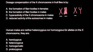 Dosage compensation of X chromosome [upl. by Giarc]