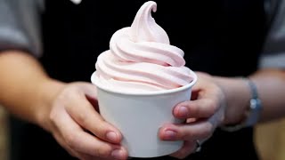 The Real Reason Why Frozen Yogurt Chains Are Disappearing [upl. by Nonnaer]