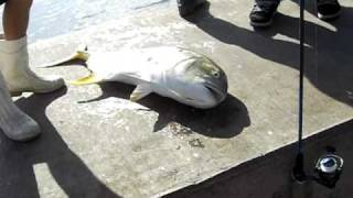 boynton inlet fishing 2 [upl. by Mallina]