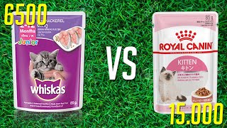 WET FOOD WHISKAS VS WET FOOD ROYAL CANIN [upl. by Bergstrom]