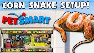 Corn Snake Setup for Beginners [upl. by Anne-Marie]