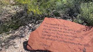 Tohono Chul Randy quotWindtalkerquot Motz Native American style flute nativeamericanstyleflute [upl. by Aital740]