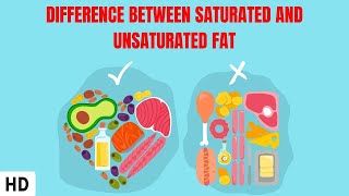 Difference Between Saturated And Unsaturated Fat [upl. by Odlamur679]