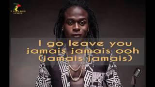 Mr Leo  Jamais Jamais Lyrics [upl. by Amin]