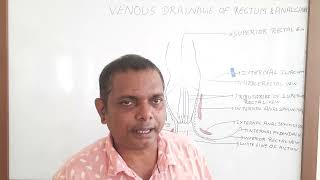 VENOUS DRAINAGE OF RECTUM AND ANAL CANALHAEMMORRHOIDSPILES [upl. by Eidur102]