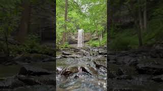 A cinematic view of Cherokee Falls at Cloudland Canyon State Park on Lookout Mountain in Georgia [upl. by Eenoj865]