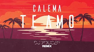 Calema  Te Amo DJ Youcef Remix Lyrics [upl. by Laro]