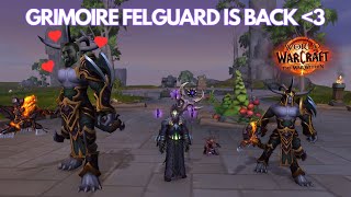 Grimoire Felguard is Back ❤️🪓  Warlock Demonology PVP  Wow The war within 1102 [upl. by Buck]