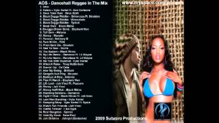 AOS  Dancehall Reggae In The Mix Vol 1 Dancehall 2009 Mix CD Preview [upl. by Dyche]