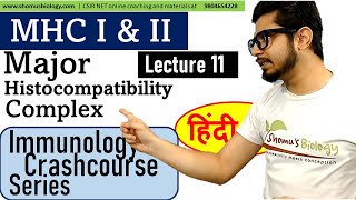 MHC Class 1 and class 2  Major histocomoatibility complex in Hindi [upl. by Niram110]