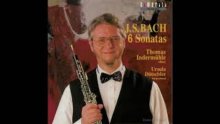 J S Bach  Sonata BWV 1030b gMoll  Indermühle Dütschler [upl. by Heurlin173]