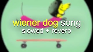 Wiener Dog Song Slowed  Reverb [upl. by Dorie]