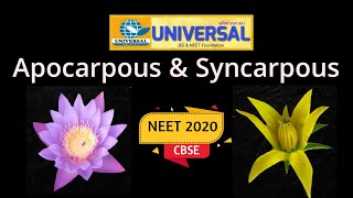 Difference between Apocarpous amp Syncarpous ovary NEET amp CBSE [upl. by Enyledam]