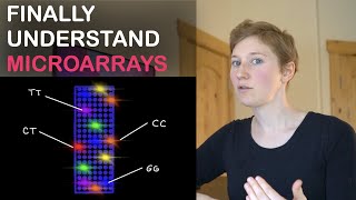 How DNA Microarrays Work Using a Simple Example [upl. by Wilhelmine]