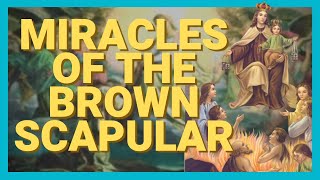 17 Miracles of The Brown Scapular [upl. by Lenssen]