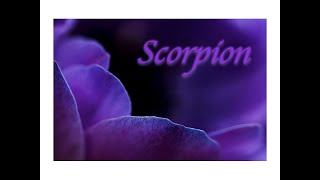 🪷☀️🌸✨🪷 Horoscope Scorpion Semaine du 18 Mars 🪷☀️🌸🪷 Très bonne période énergétique [upl. by Roybn]